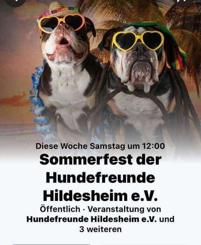 Hundeschulen-Hundefreunde Hildesheim-Bild