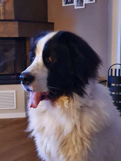 Handyfoto challenge Nr. 13: Waschlappen raus!-Beitrag-Bild