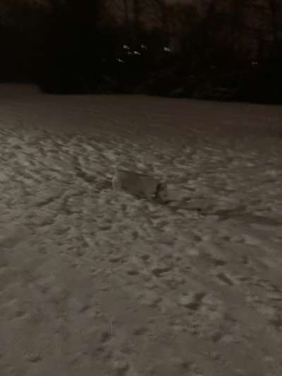 Dogorama Photo Challenge - Es wird nochmal kalt!-Beitrag-Bild