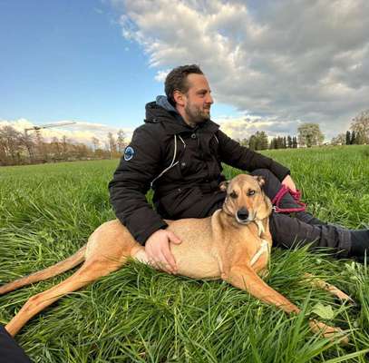 Hundetreffen-Regelmässiges zusammen Gassi gehen-Bild