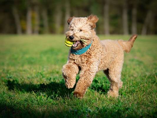 Fotochallenge Nr. 67: Euer Lieblingsbild-Beitrag-Bild