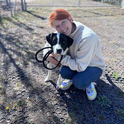 Hundetreffen-Spielen im Westpark