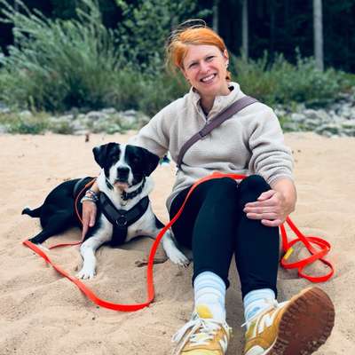 Hundetreffen-Spielen im Westpark