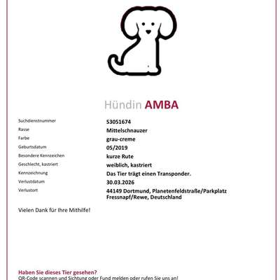 Suchmeldung-Amba-Bild