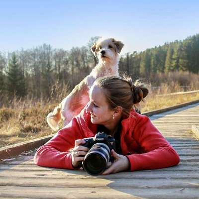 Foto's und Hundemodels-Beitrag-Bild