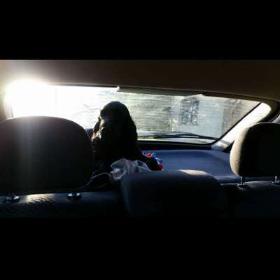 117. Fotochallenge-Beitrag-Bild