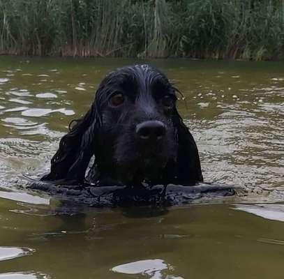 Foto Wettbewerb-Beitrag-Bild