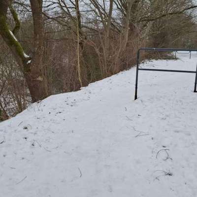 Giftköder-Evtl. Getreide-Rattengiftköder-Bild