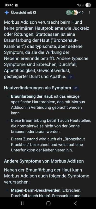 Wir möchten wissen,was mit Poohs Haut los ist?-Beitrag-Bild