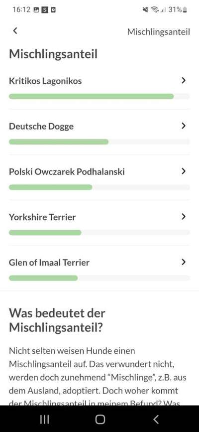 Gibts hier Mioritic Besitzer?-Beitrag-Bild