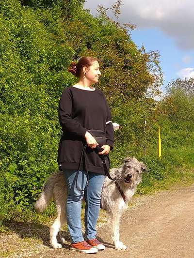 Mischlingshunde Foto Aufruf-Beitrag-Bild