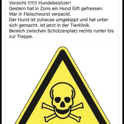 Giftköder-Gift-Bild