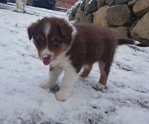 Fotochallenge 61 ~ Schnee-Beitrag-Bild