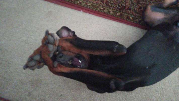 Die unbequemsten und lustigsten Schlafpositionen-Beitrag-Bild