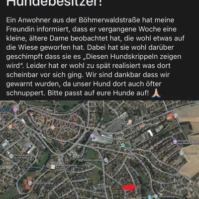 Giftköder-Evtl. Giftköder!!-Bild