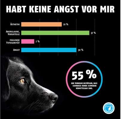 Schwarze Hunde machen ihn aggressiv-Beitrag-Bild