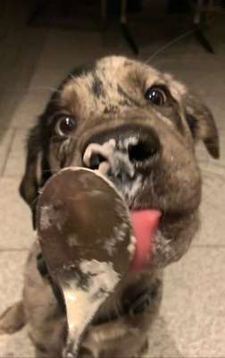 Wo sind die Aussies??-Beitrag-Bild