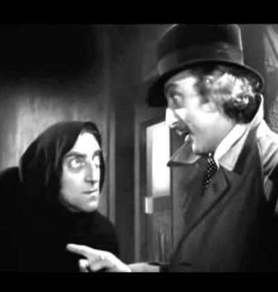 Wie heißt dein Hund?-Beitrag-Bild