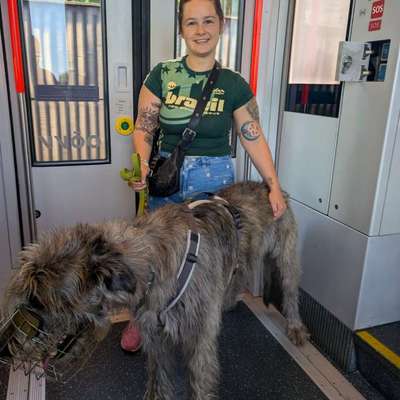 Empfohlene Wanderungen Harzer Gebirge-Beitrag-Bild