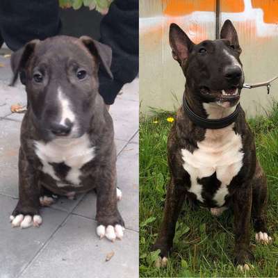 Vorher.... Nachher-Beitrag-Bild