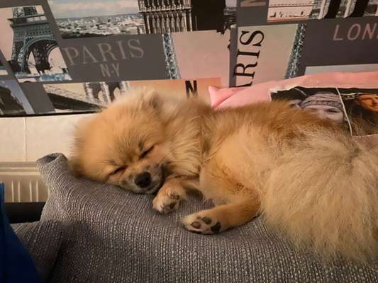 Die unbequemsten und lustigsten Schlafpositionen-Beitrag-Bild