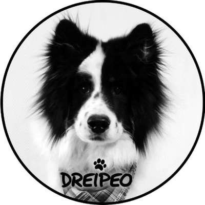 Hundeschulen-DREIPEO - Hundeschule und Hundephysiotherapie-Bild
