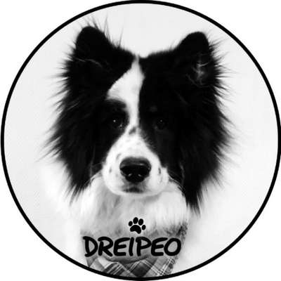 Hundeschulen-DREIPEO - Hundeschule und Hundephysiotherapie-Bild