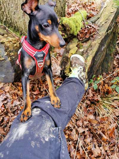 Antizuggeschirr-Beitrag-Bild