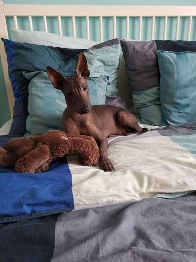 Foto Challenge 3-Beitrag-Bild