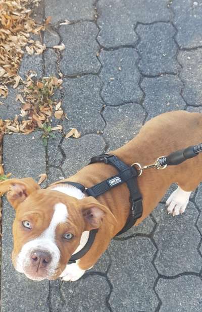 Foto Challenge 3-Beitrag-Bild