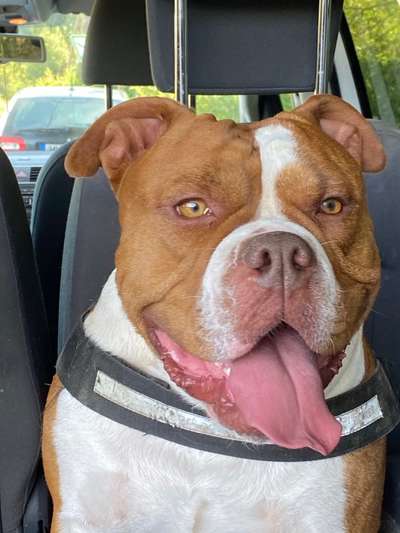 Challenge Nr. 10: "Das schönste Lächeln"-Beitrag-Bild