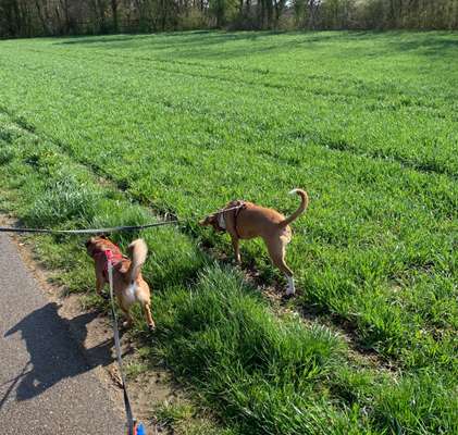 30. Collagen Challenge - Wege/Straßen-Beitrag-Bild