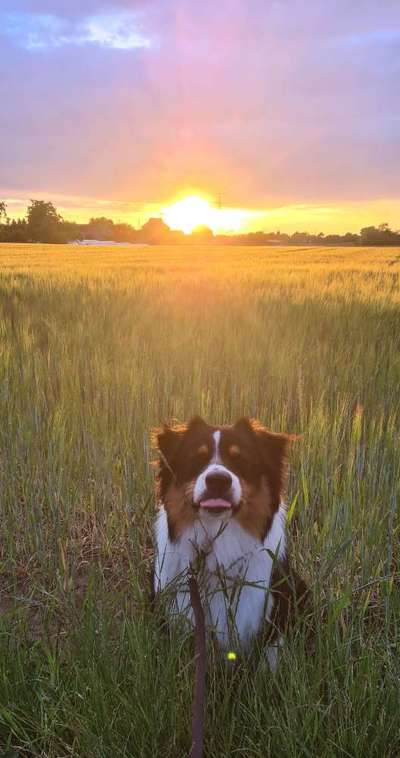 Tongue Out Tuesday-Beitrag-Bild