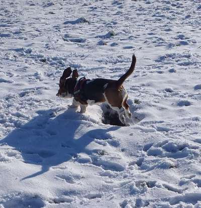 Challenge Nr. 15
Spiel im Schnee-Beitrag-Bild