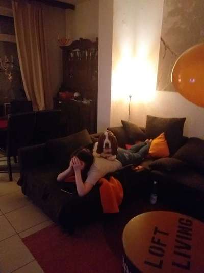 Challenge Nr 14
Eure Fellnasen auf ihrem Lieblingsplatz-Beitrag-Bild