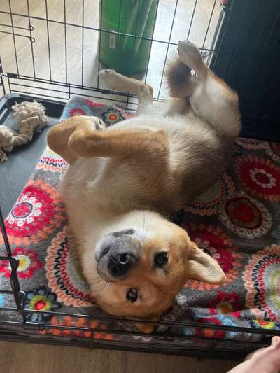 147. Foto Challenge: Bettelblick-Beitrag-Bild