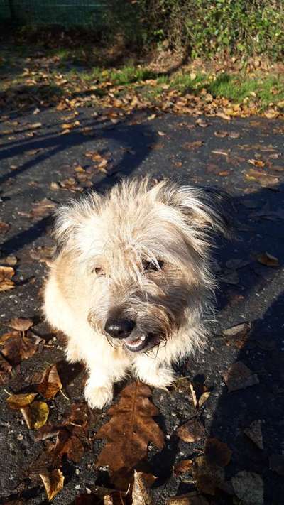 Lieblingsbild-Beitrag-Bild