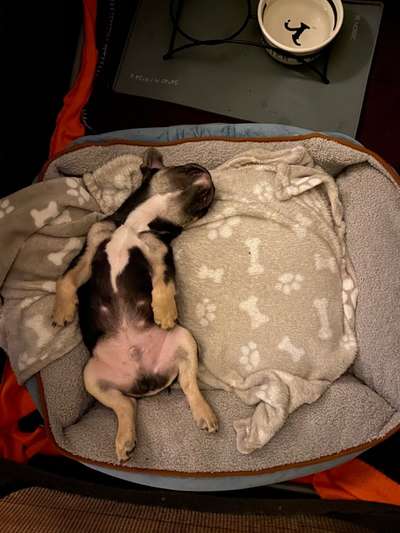 Die unbequemsten und lustigsten Schlafpositionen-Beitrag-Bild