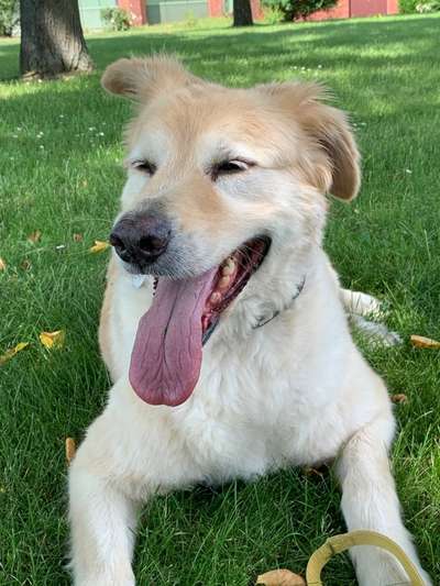 Handyfoto challenge Nr. 13: Waschlappen raus!-Beitrag-Bild