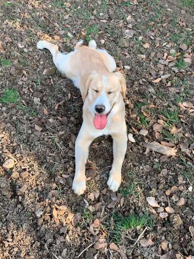 Handyfoto challenge Nr. 13: Waschlappen raus!-Beitrag-Bild