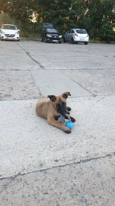 Erstes Bild-Beitrag-Bild