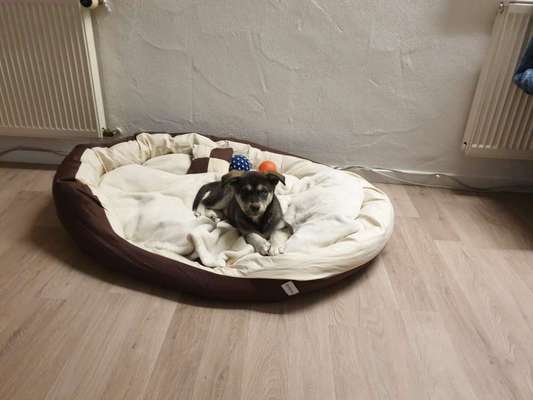 Erstes Bild-Beitrag-Bild