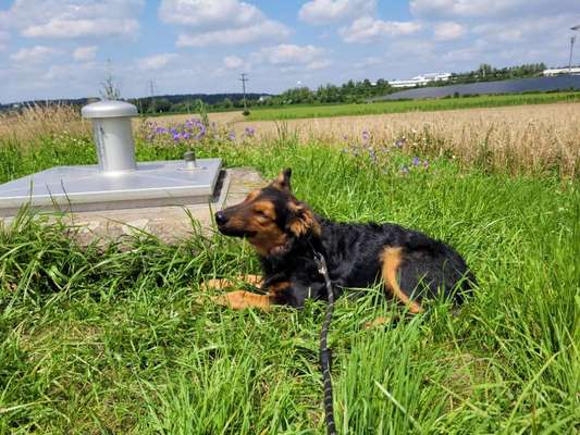 Lieblingsbild :D-Beitrag-Bild