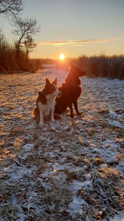 Farben Fotochallenge Sonnenlicht-Beitrag-Bild