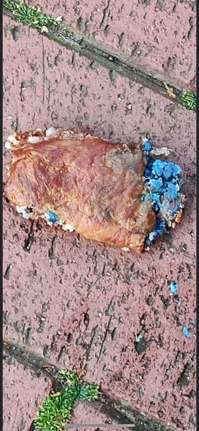 Giftköder-Giftköder-Bild