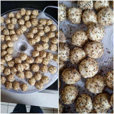 Heute gibt es.....der "ich mach die Leckerlis-Selber-Thread"-Beitrag-Bild