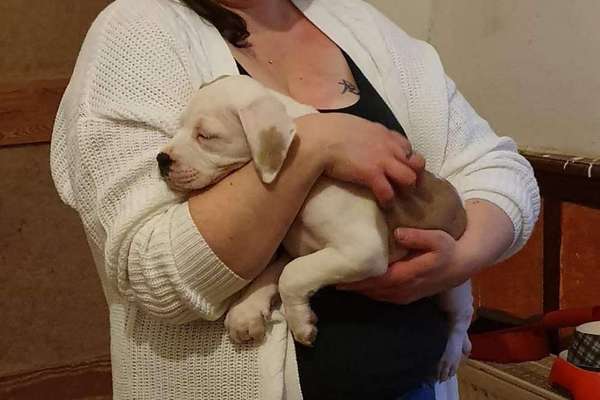 Das erste Foto-Beitrag-Bild