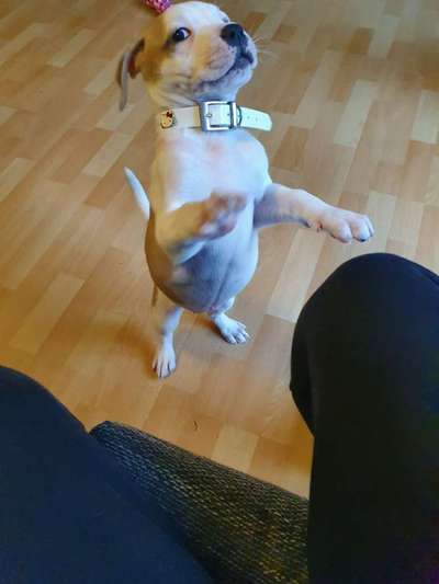 Foto Challenge 3-Beitrag-Bild