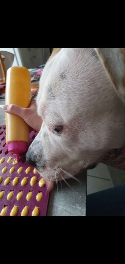 Fotochallange Nr. 6 Die irrsten Blicke-Beitrag-Bild