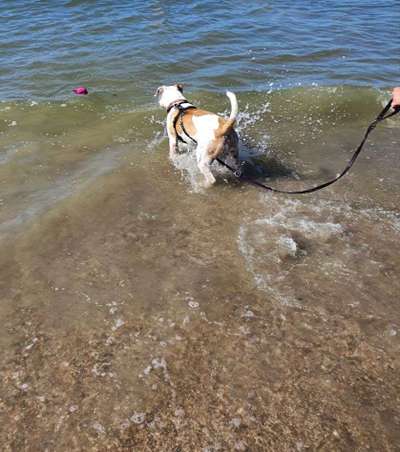 Foto Challenge - BEENDET - bitte aktuelle Challenge nutzen-Beitrag-Bild